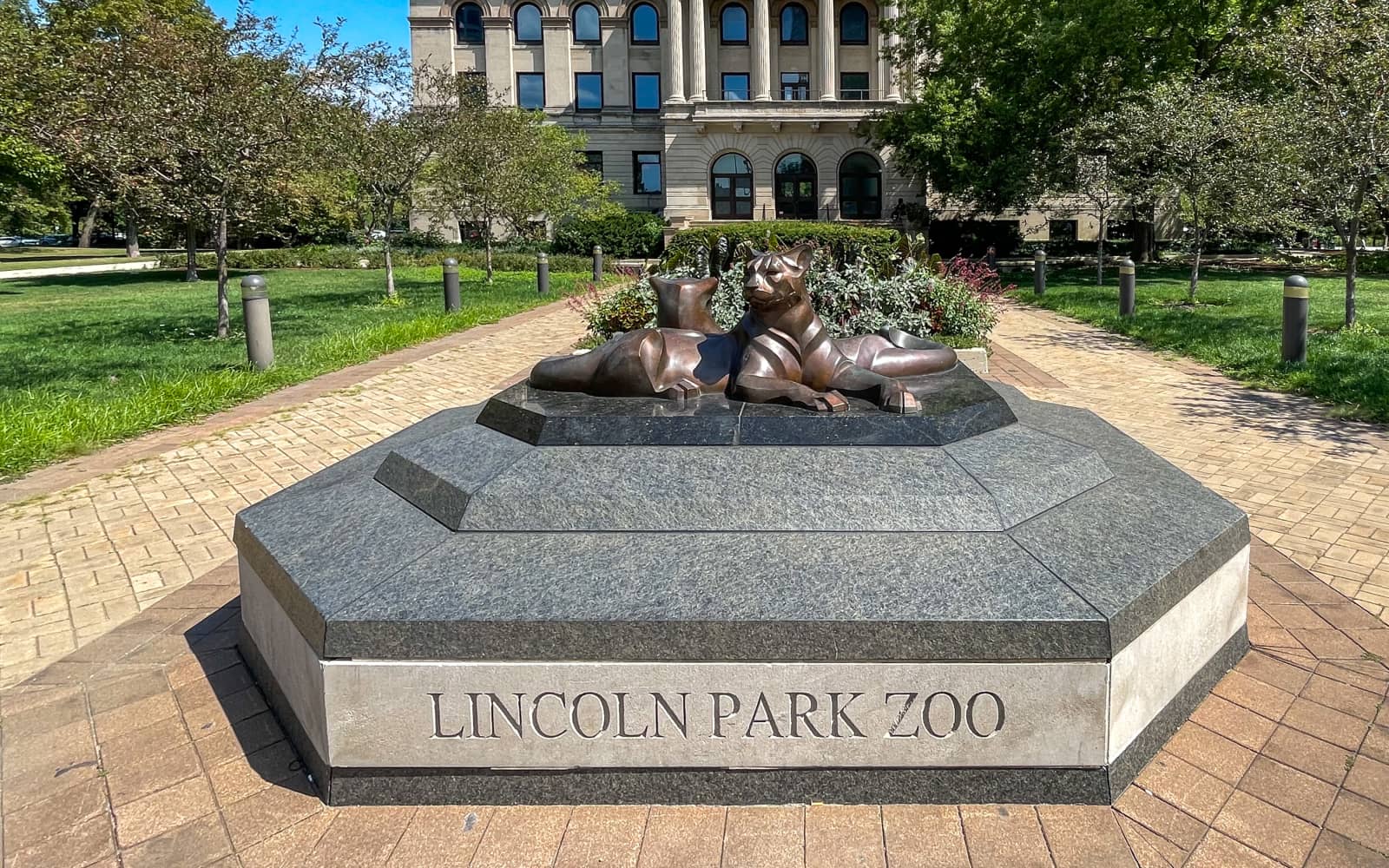 Run For The Zoo