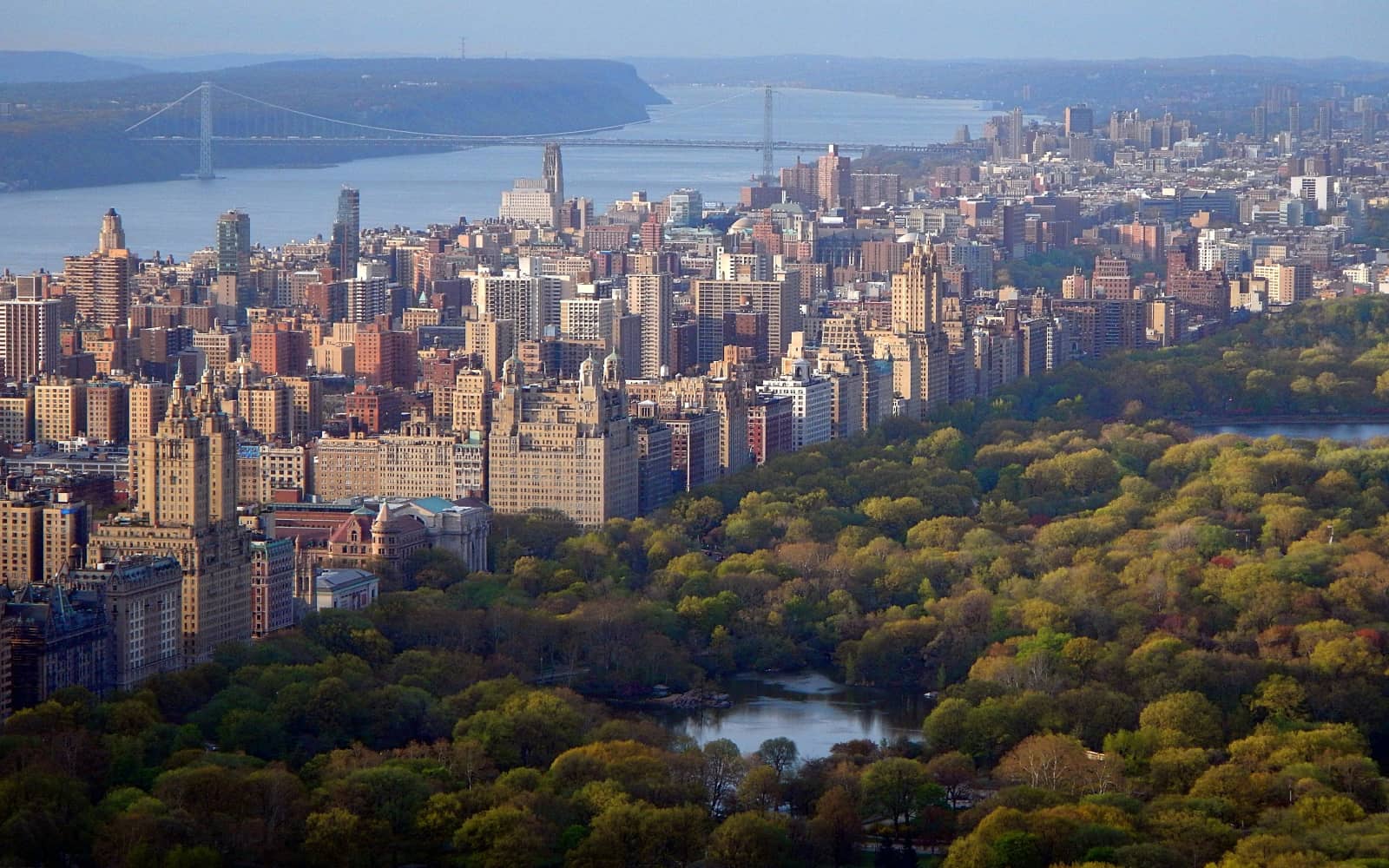 New Yorker Run
