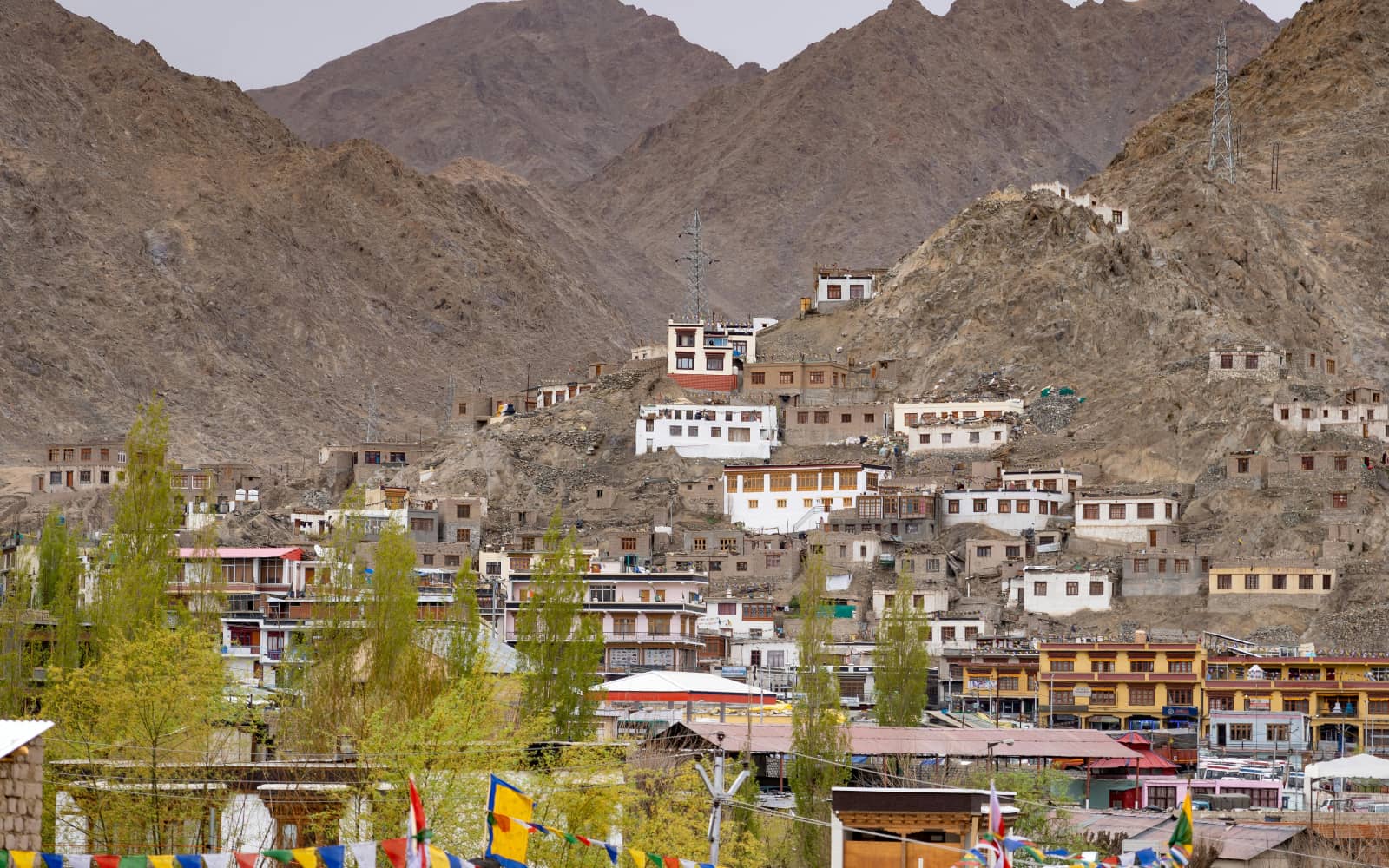 Ladakh Marathon