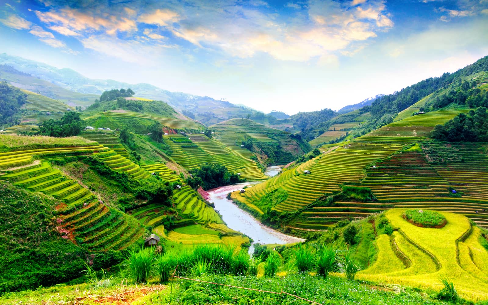 Vietnam Jungle Marathon