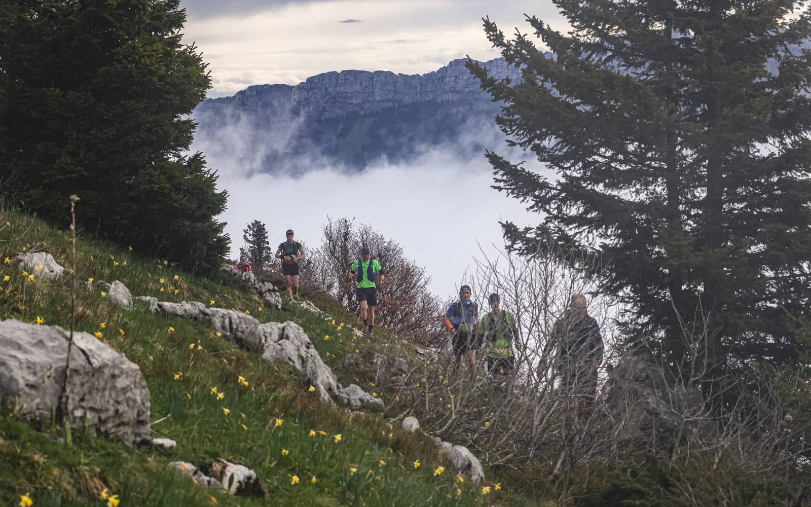 Chartreuse Trail Festival