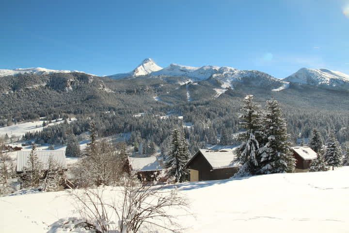 Trail Hivernal du Vercors