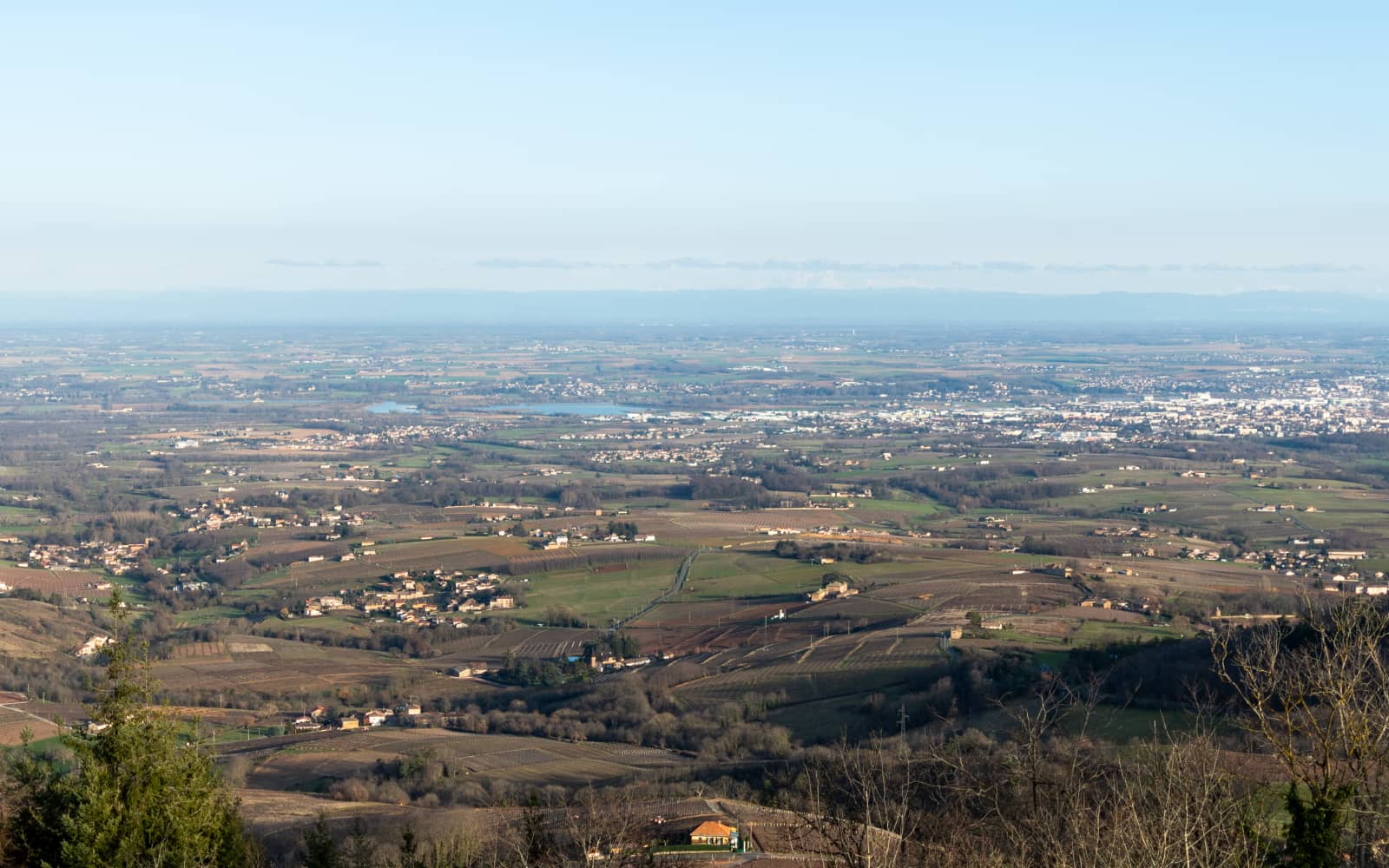 Trail de l'Abbaye de Savigny