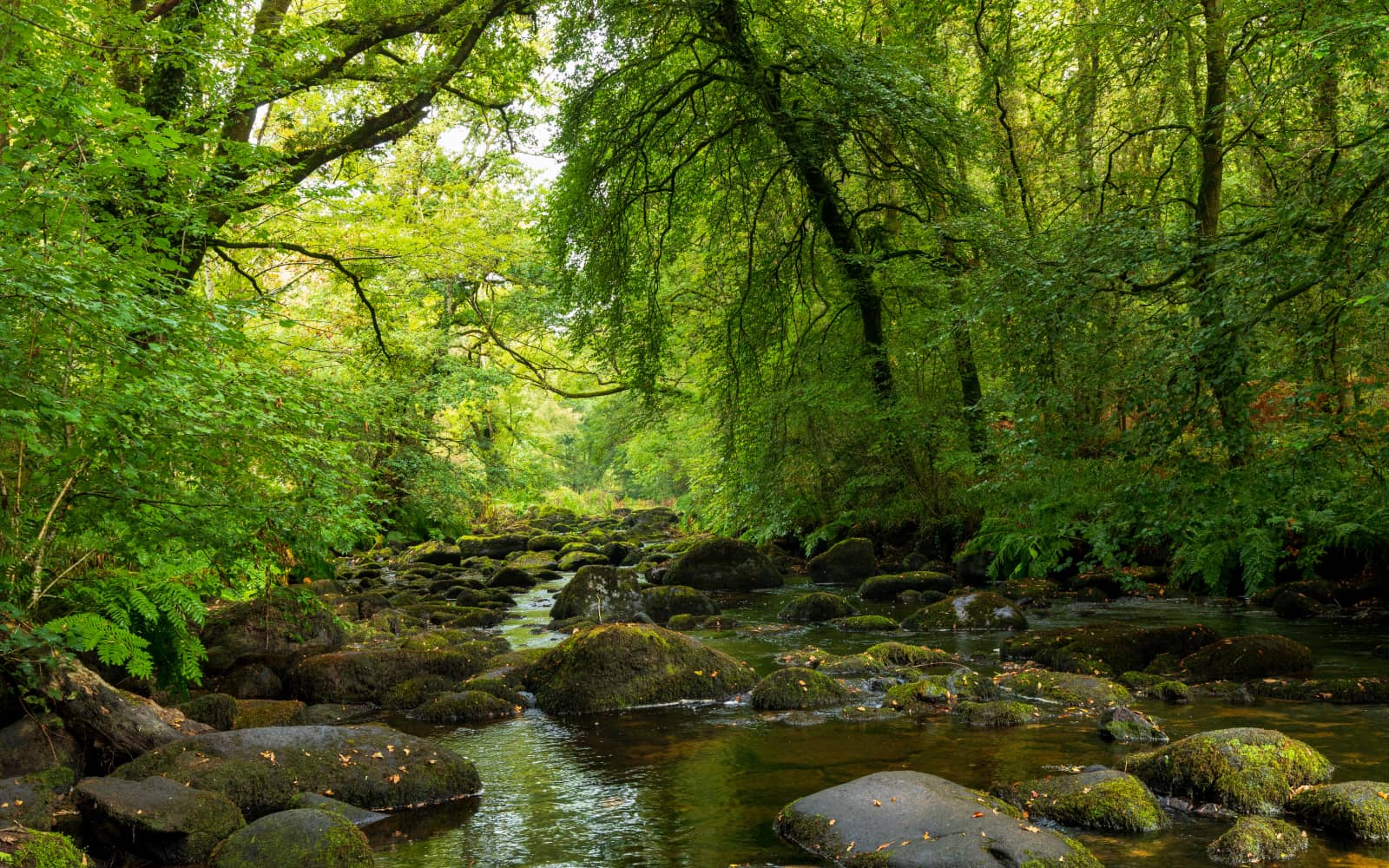 Trail de la Pierre Fendue