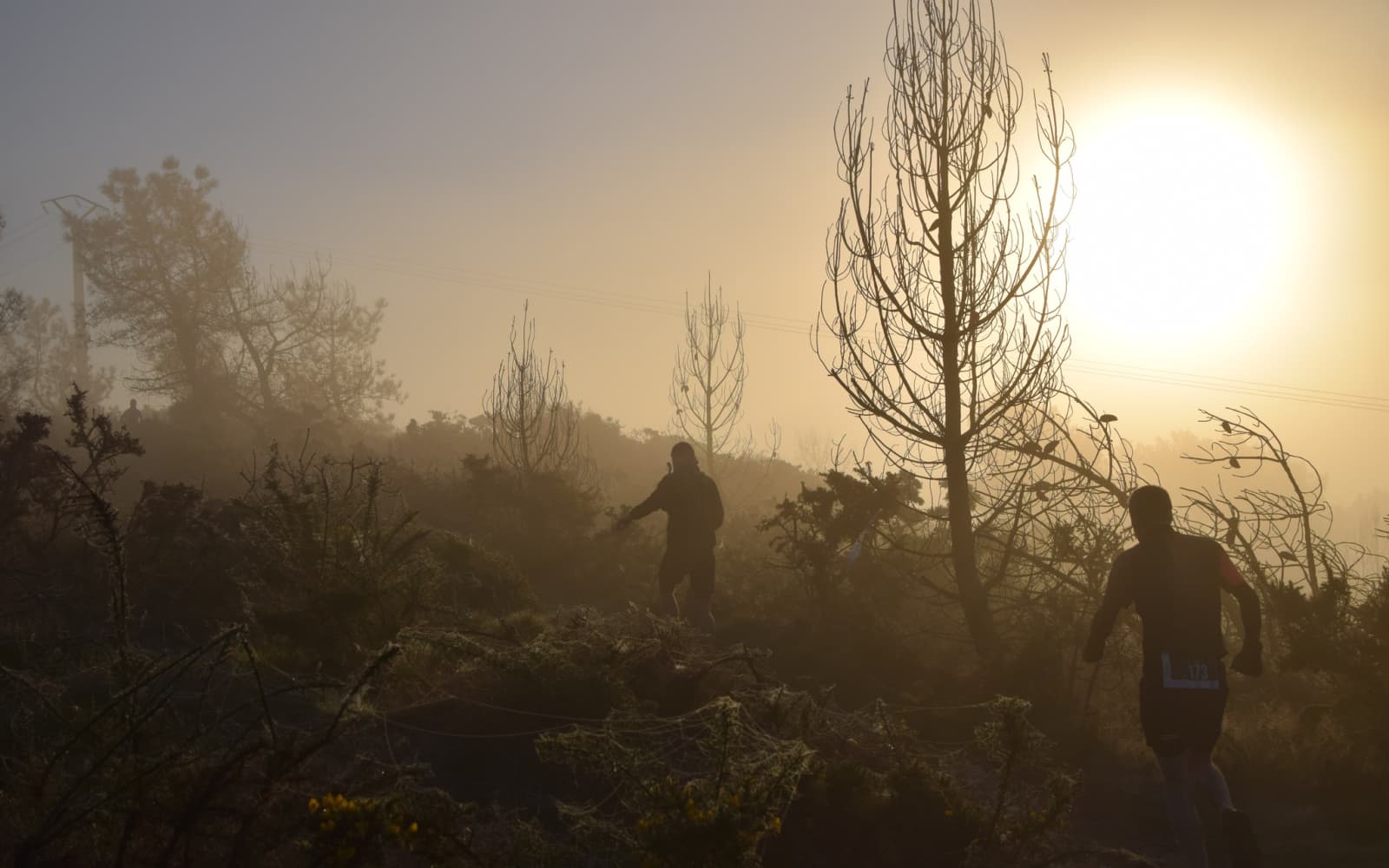 Trail Entre Landes et Justice