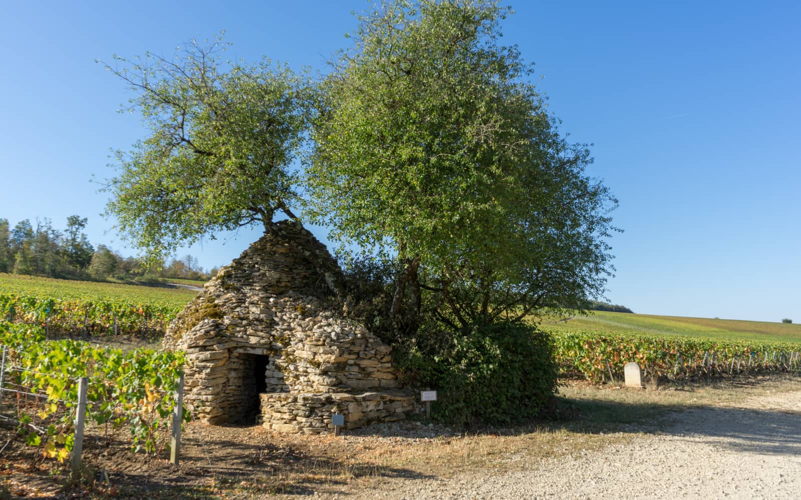 Trail des Cadoles