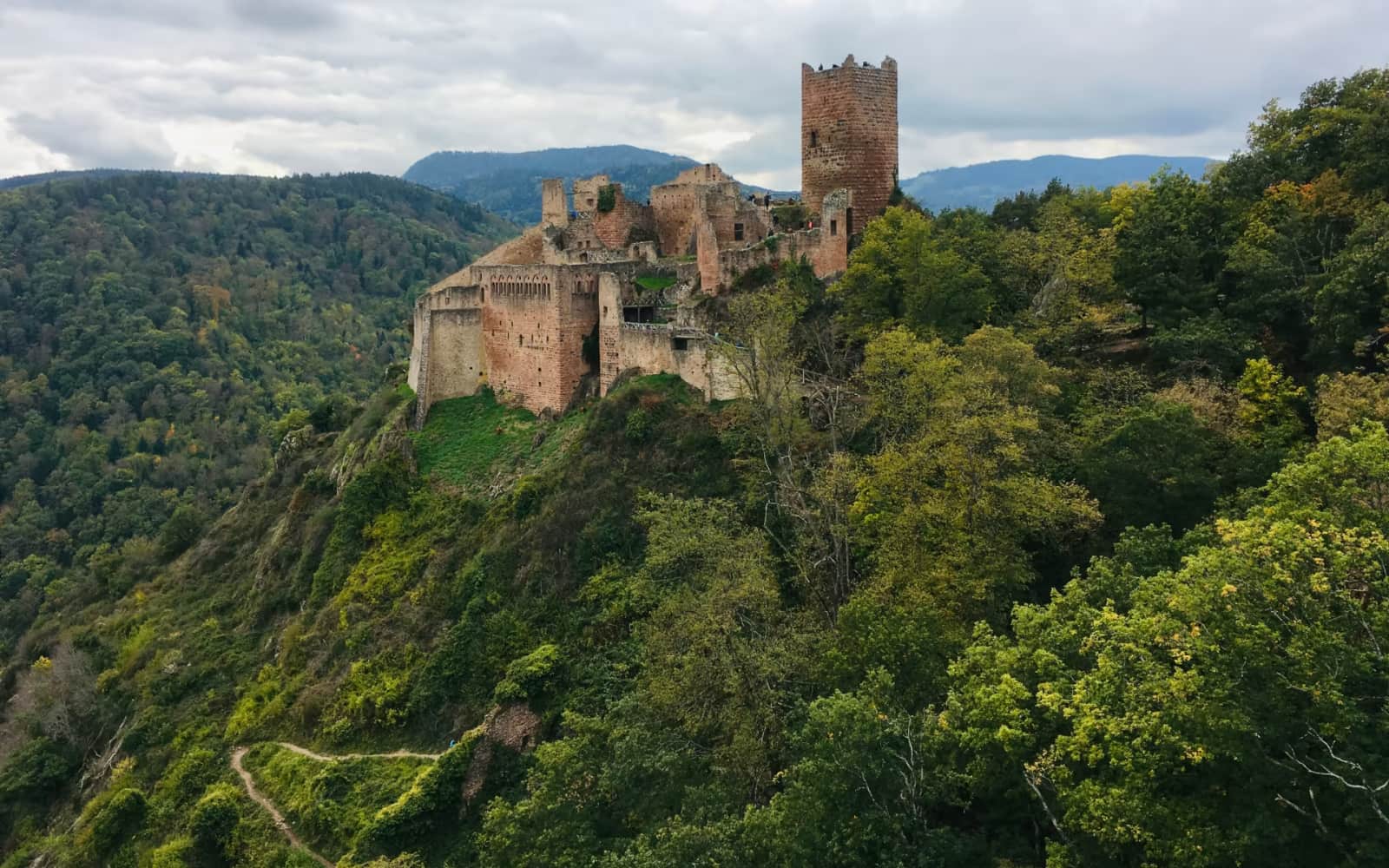 Trail Alsace Grand Est by UTMB®