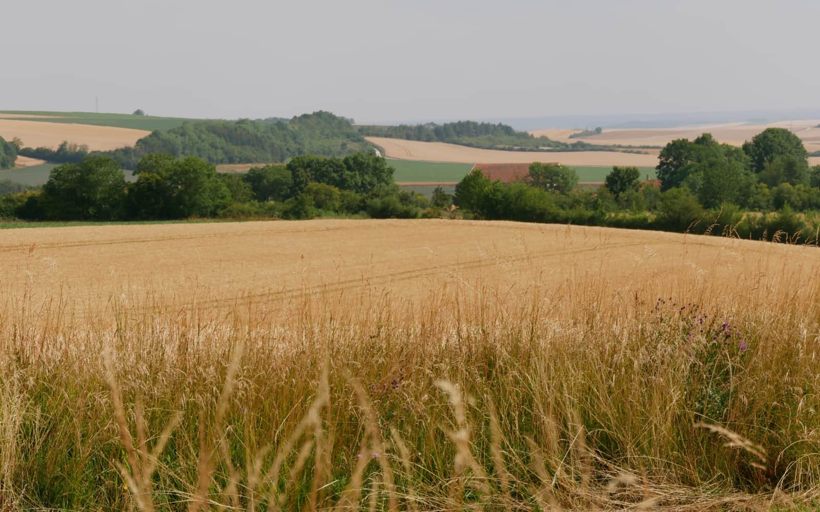 Trail du Pays d'Argonne