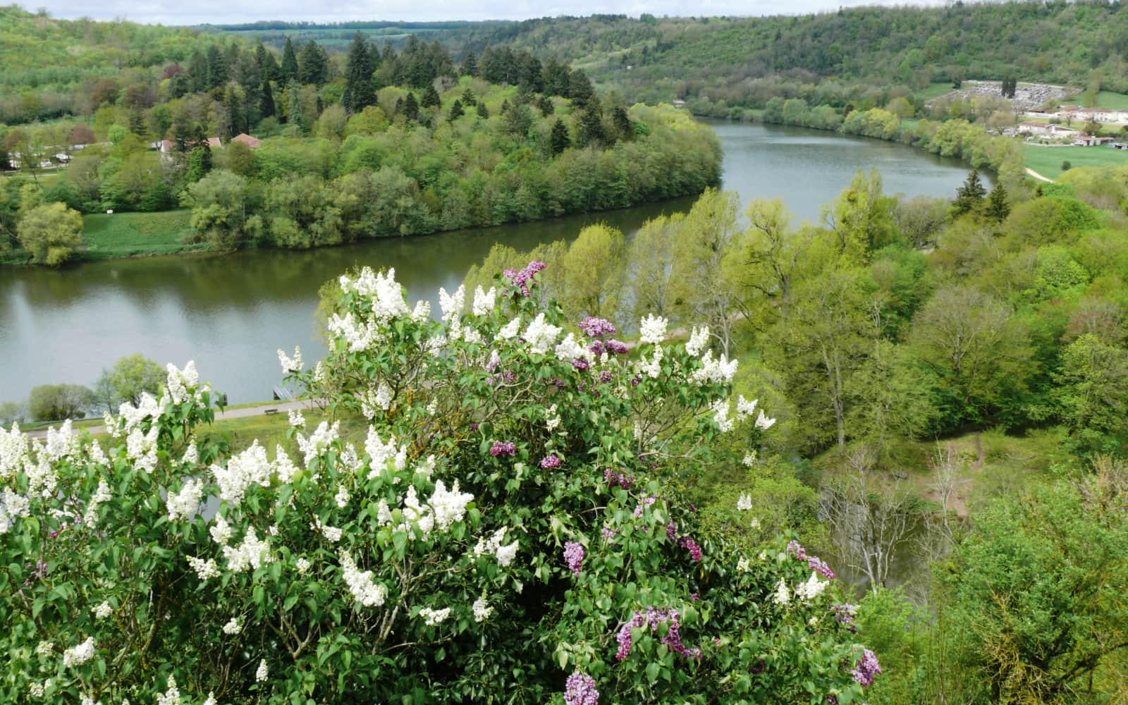 Trail de la Croix des Carmes