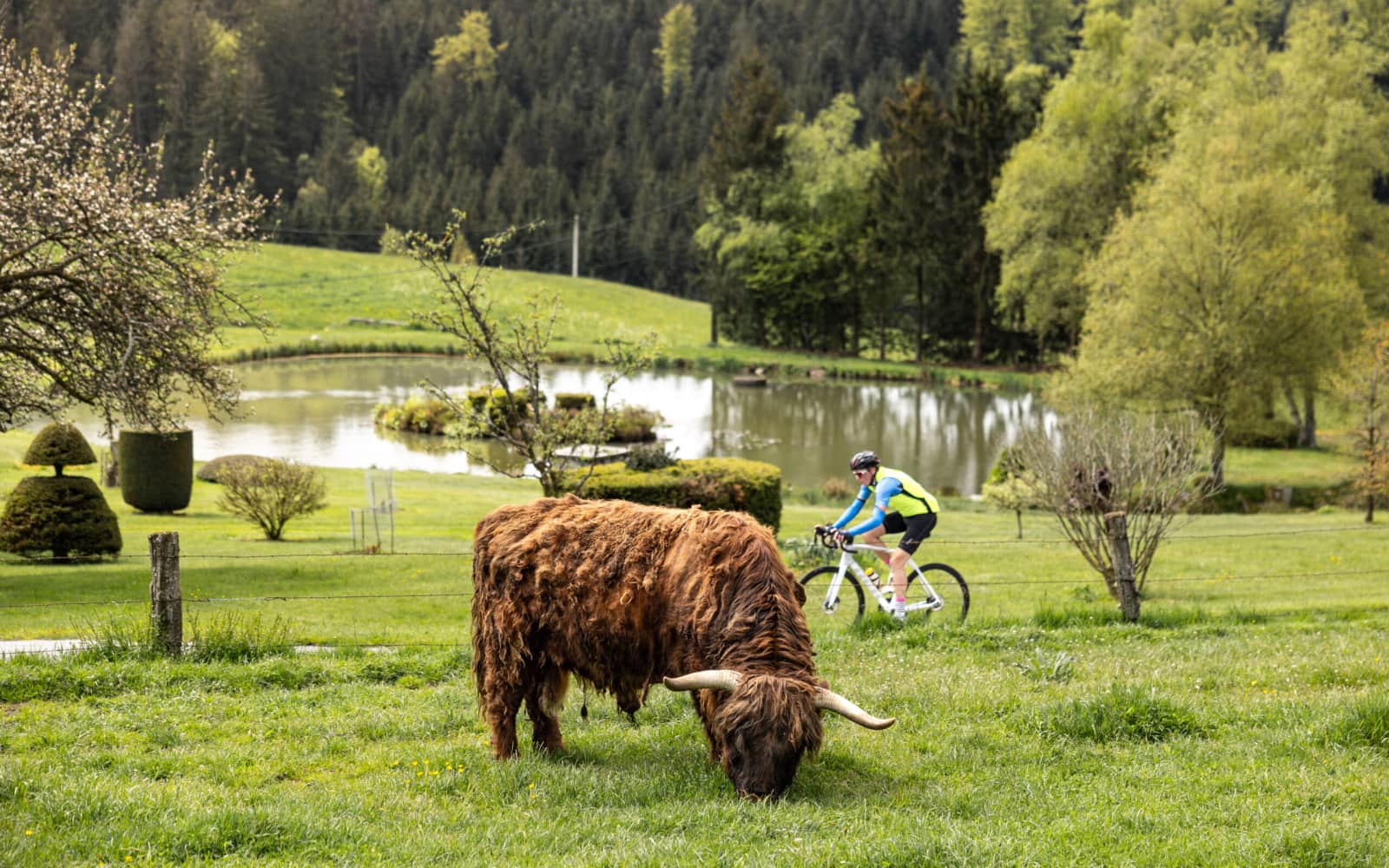 UCI Granfondo Vosges