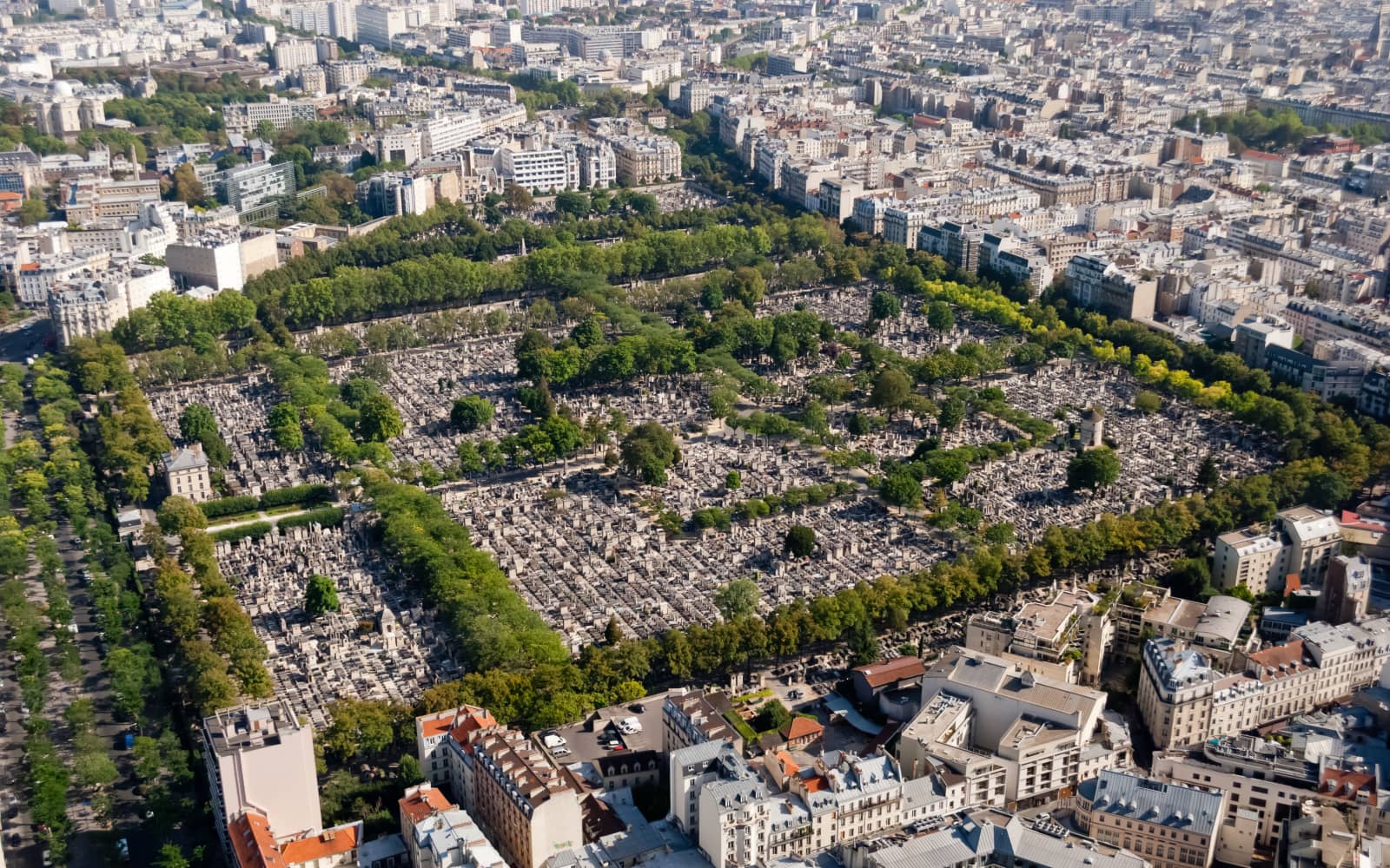 10 Km du 14ème