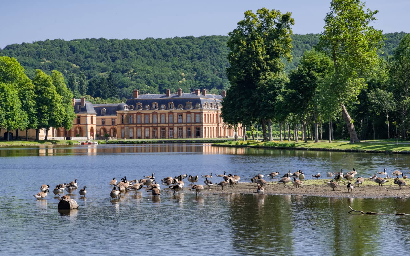 Course des flambeaux