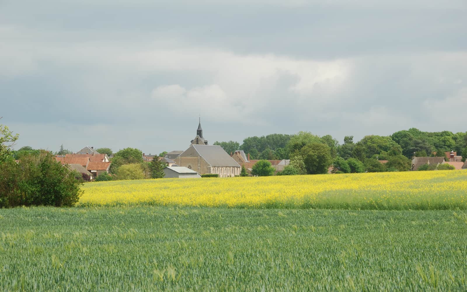 Tour de la Saussaye