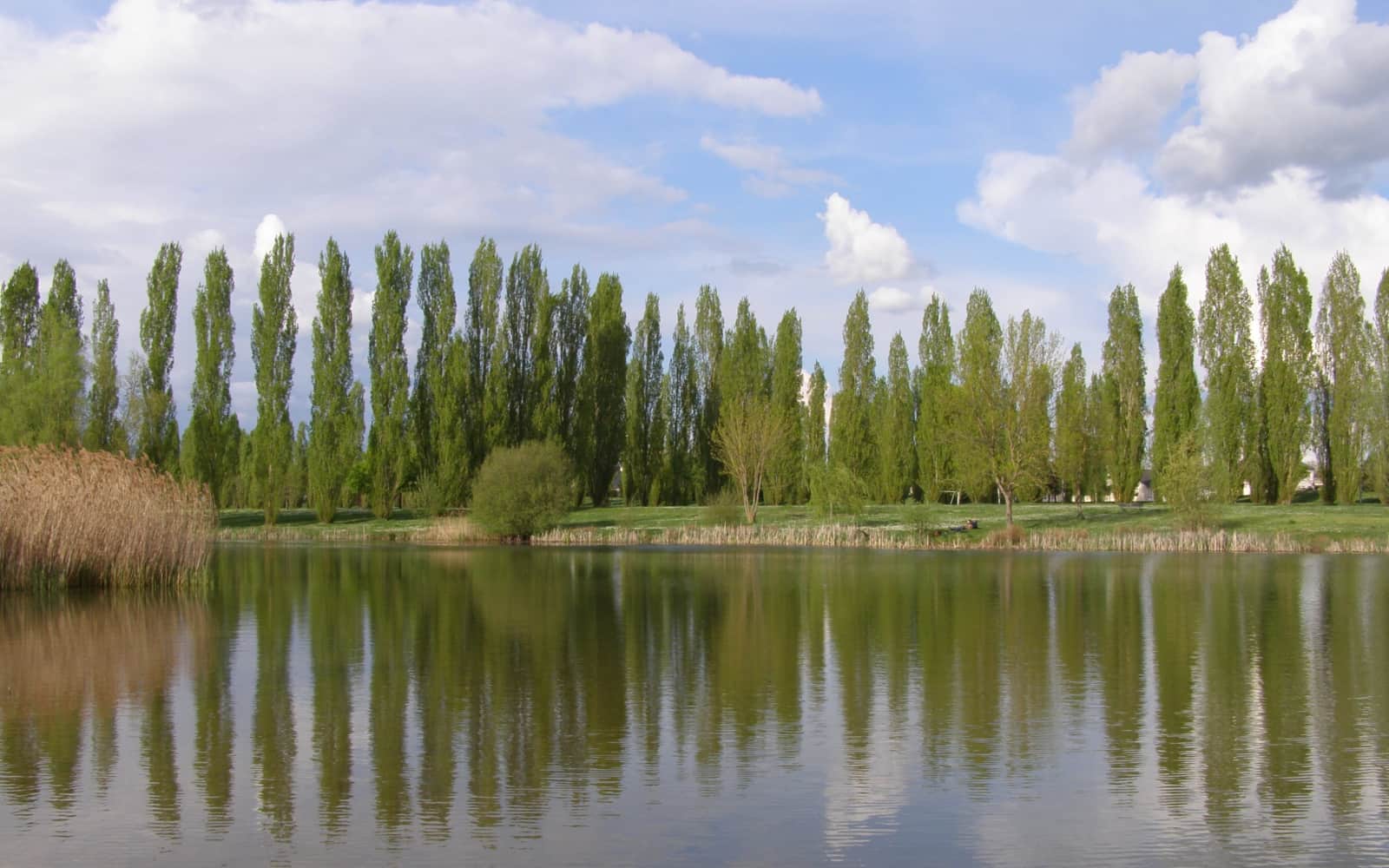 Le Feu au Lac