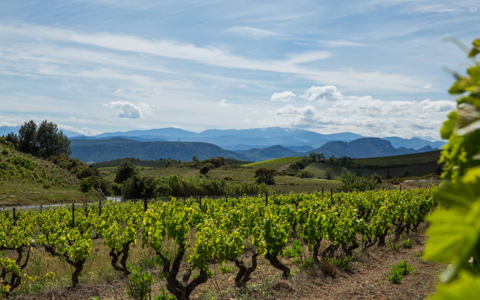 Marathon du Boutenac en Corbières