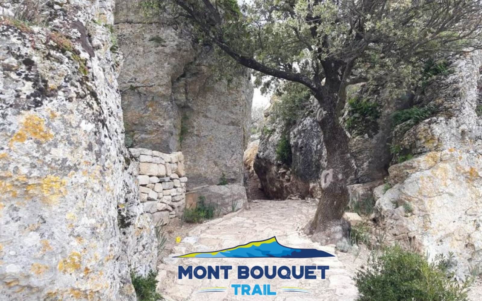 Mont Bouquet Trail