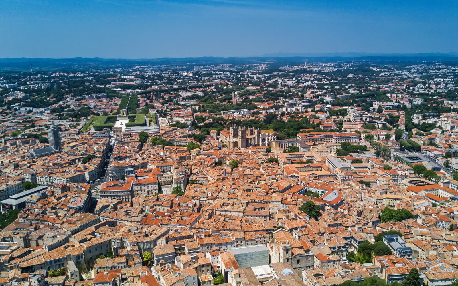 La Montpellier Reine