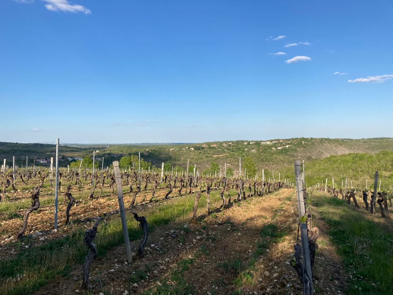Extra Trail Les Côtes du Lot