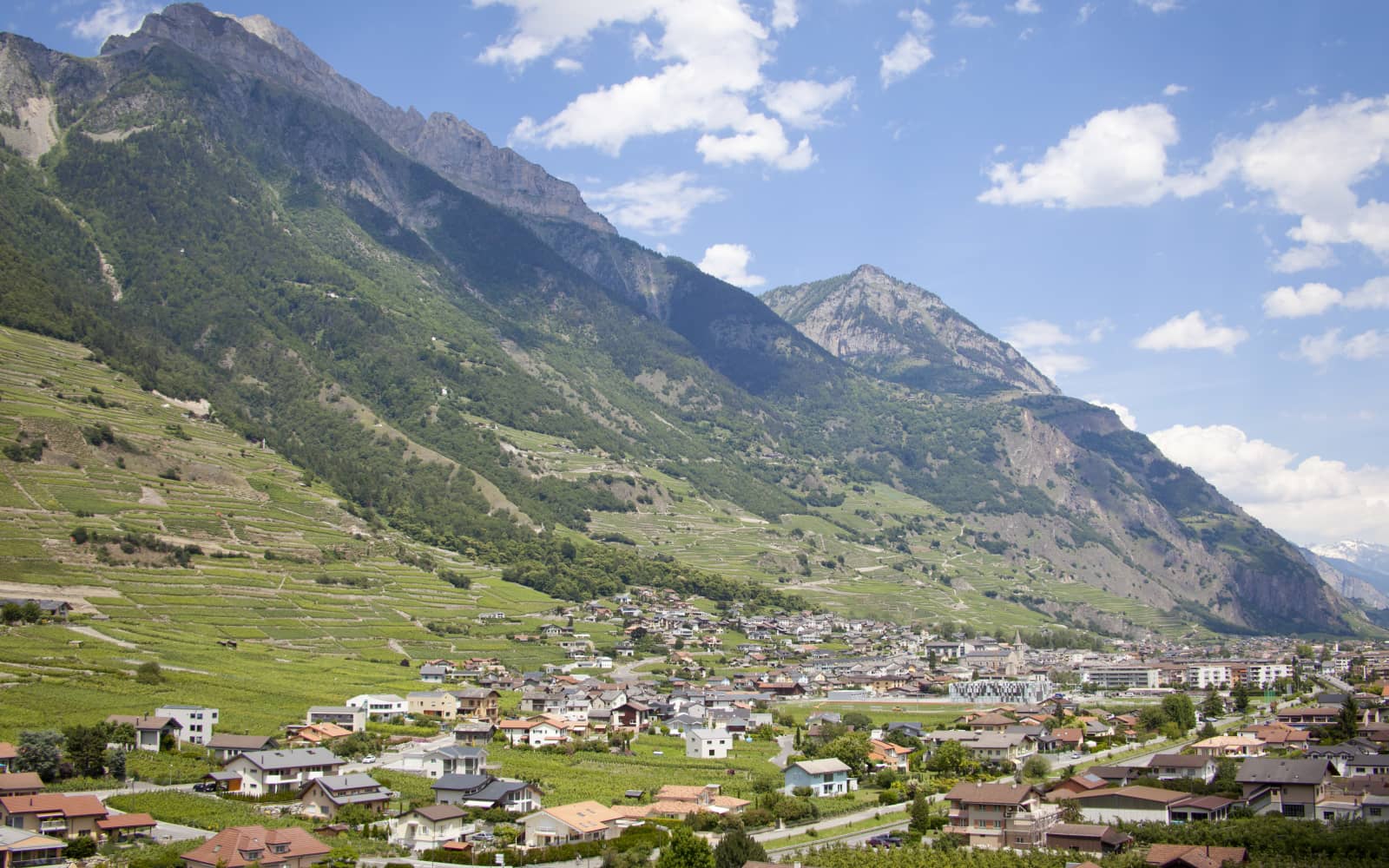 La Verticale 2901