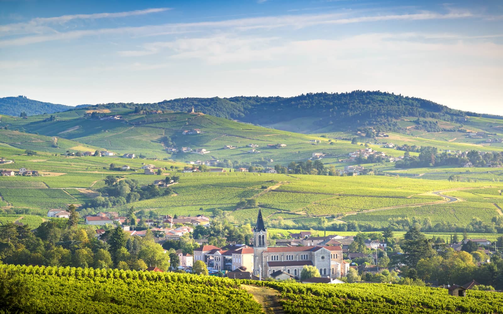 Trail de l'Abbaye de Savigny