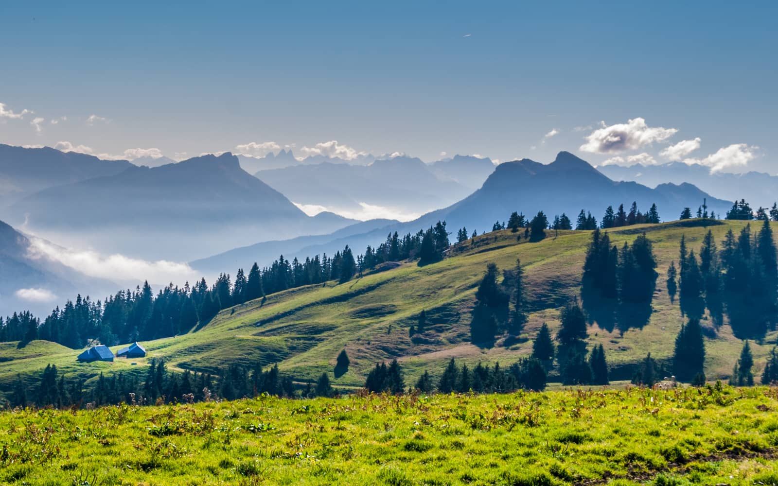 Trail de La Fleur du Roy