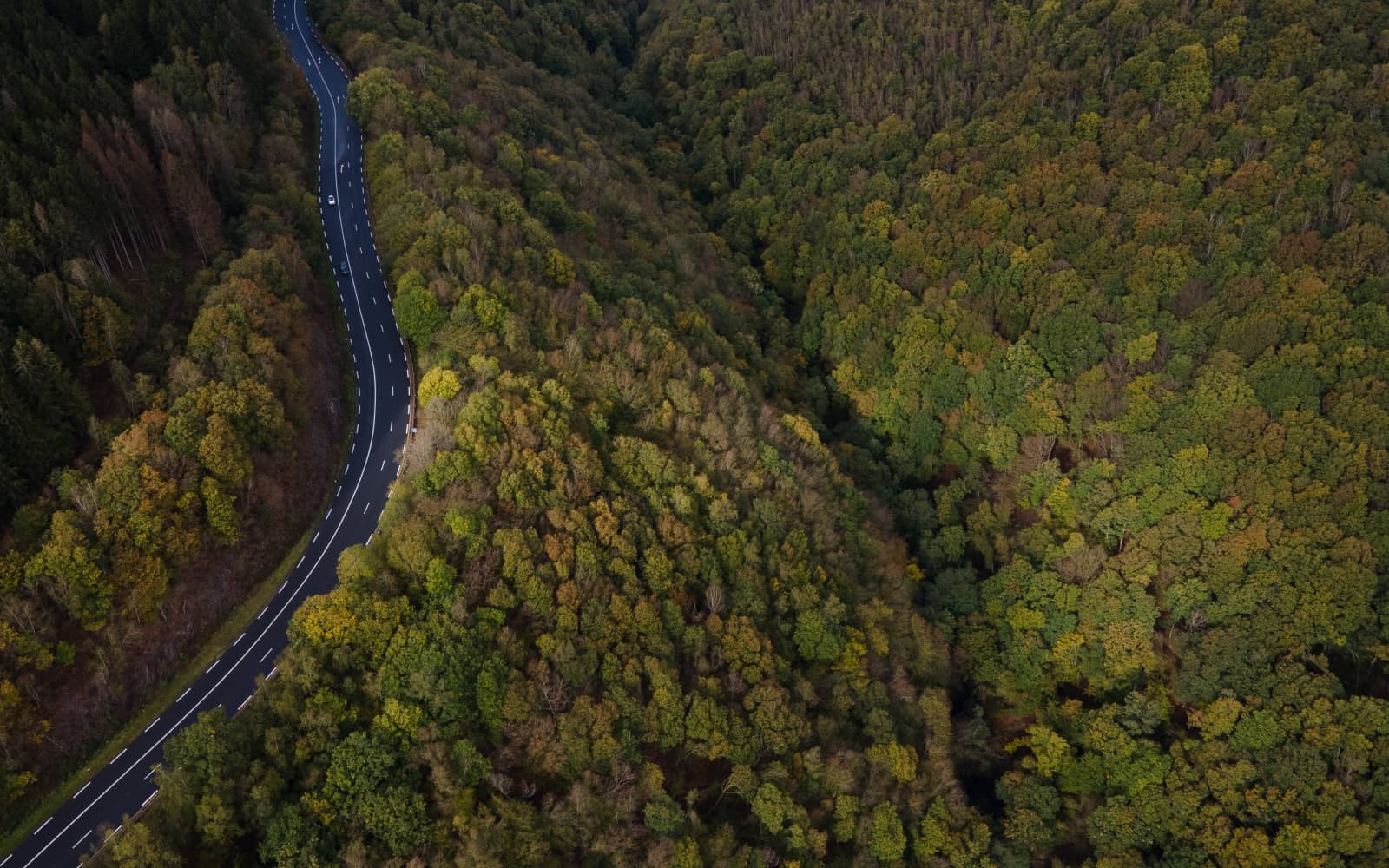 Course Nature d'Enelle