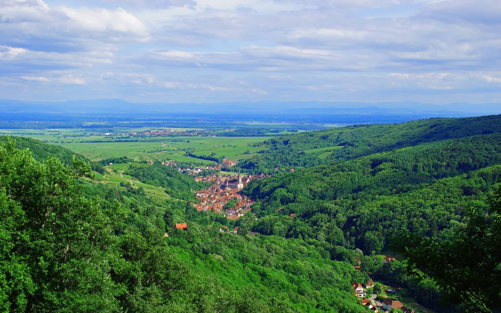 Trail de la Tour en Alsace