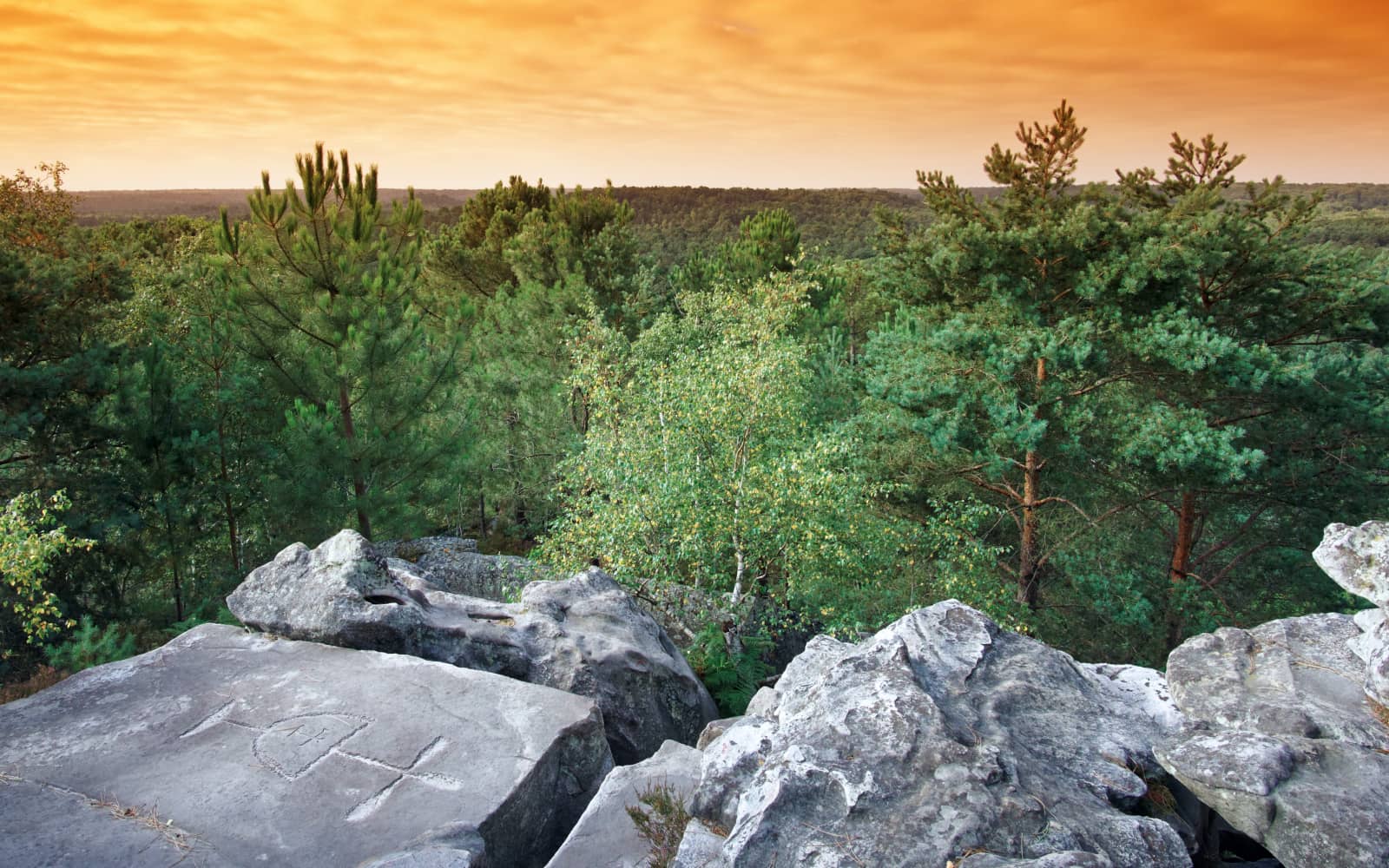 Trail du Château de Dourdan