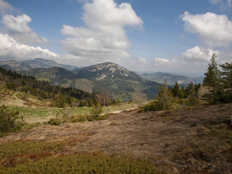 Trail des Sucs