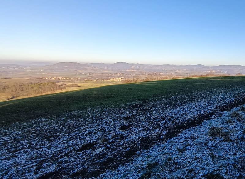 Trail des Lions Nocturne