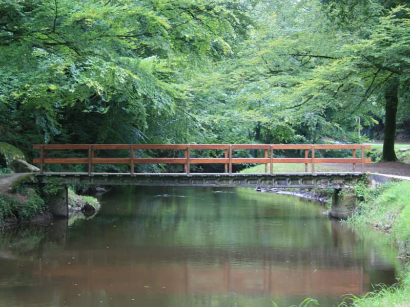 Trail Nature L'éco-Lié