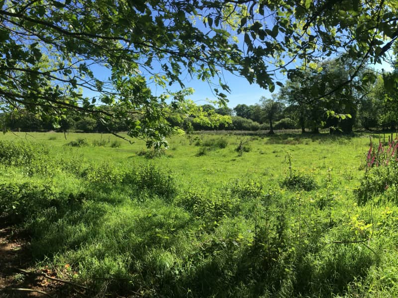 Course du Train-Patates