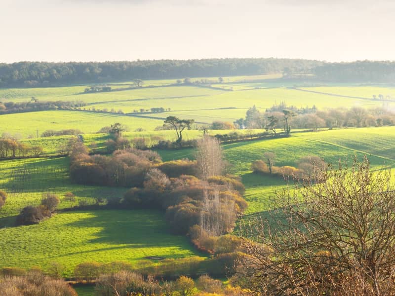 Courses du Pays Glazik