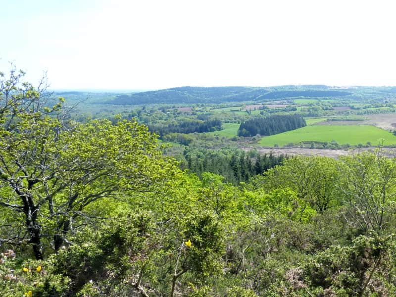 Entre Chien et Loup