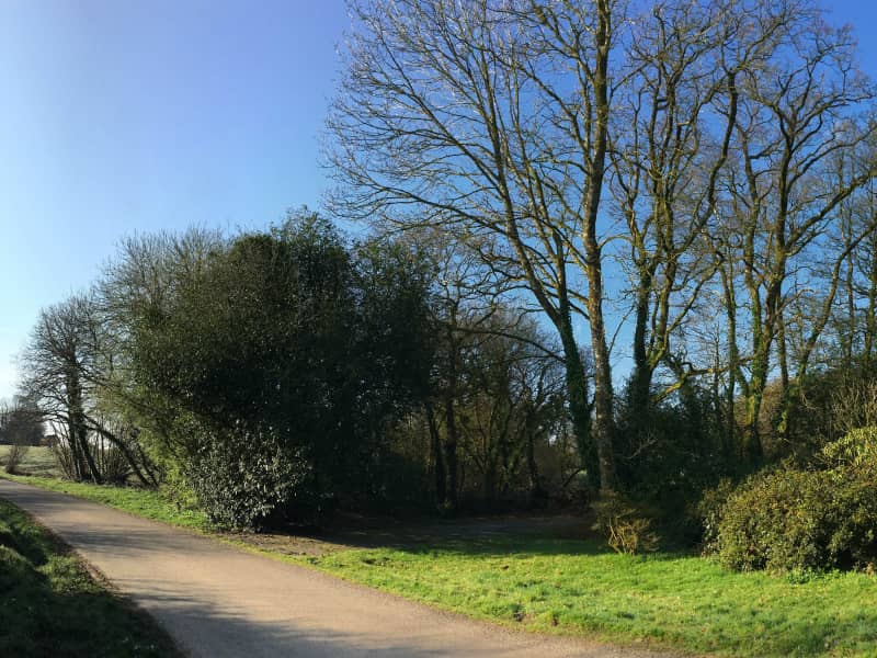 Foulées Nature de Coray