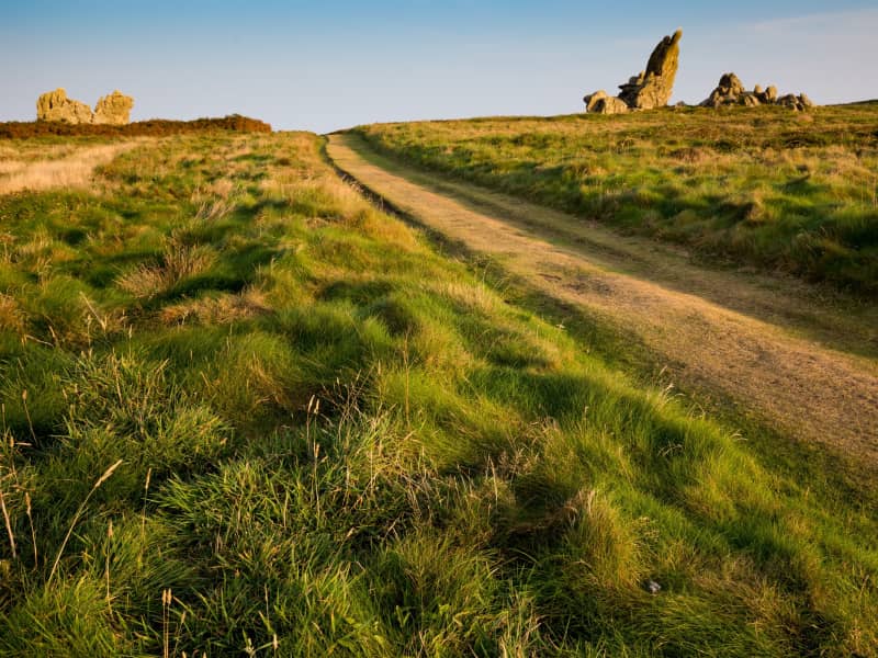 Tréflez court pour l'Ukraine