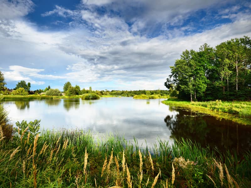 Course Nature Argentré