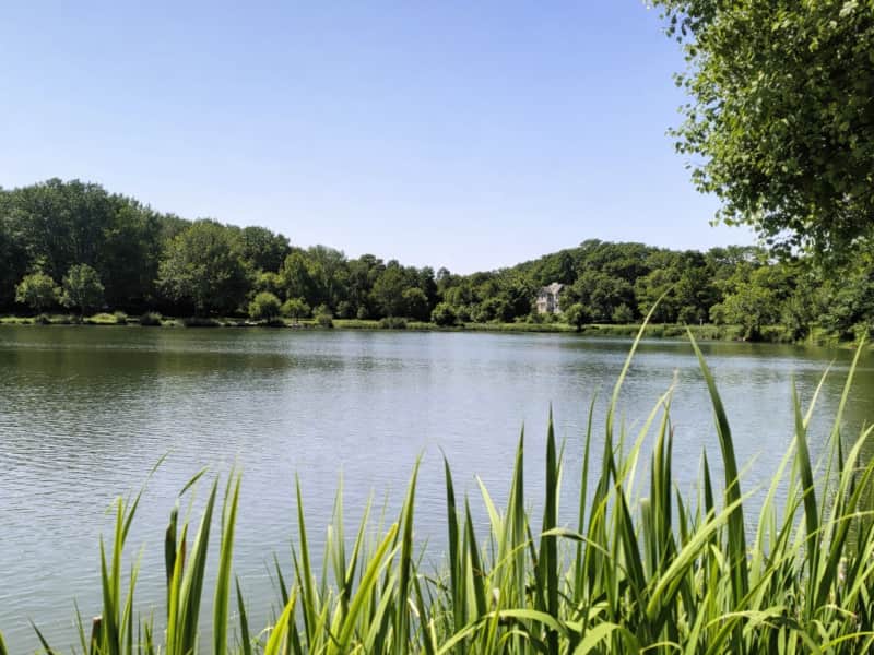 Les Foulées aux 4 couleurs