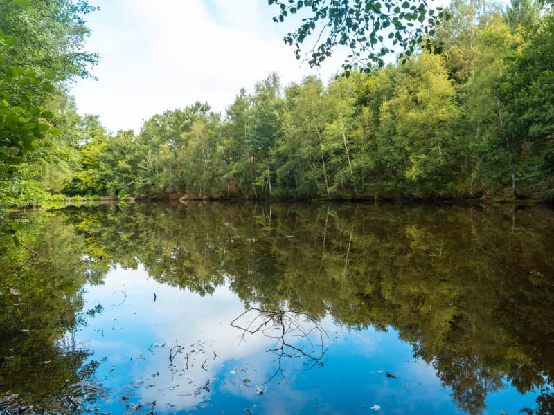 Les Foulées d'Acigné