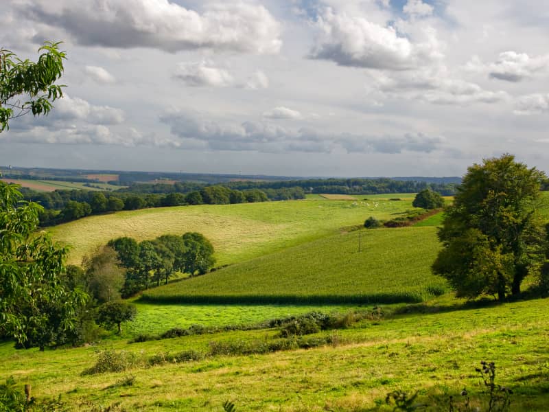 Trail du Clocher Tors