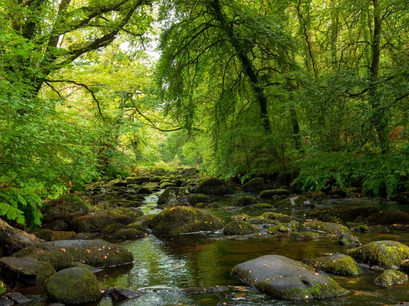 Trail de la Pierre Fendue