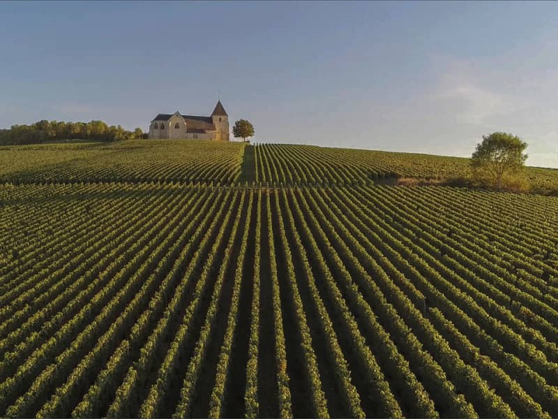 Corrida de la Saint Valentin