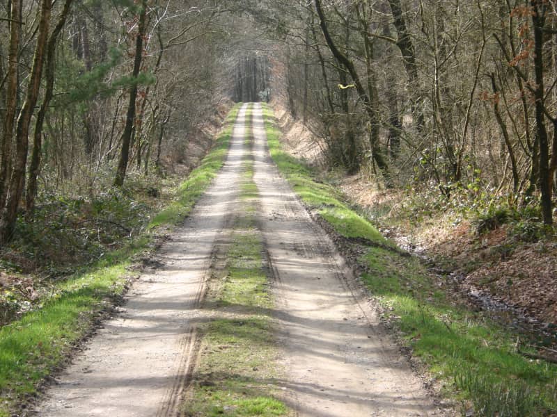 Trail De La Montagne De Gury
