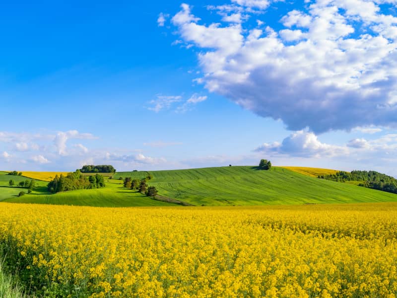 La France en Courant