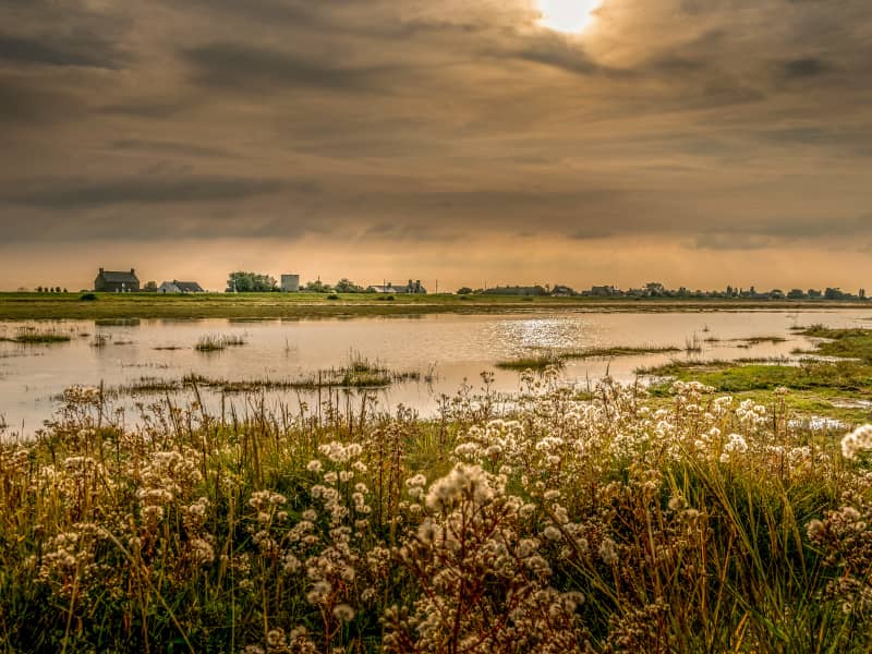 Trail de la Vallée de la Sélune