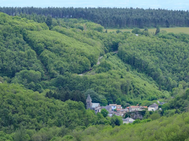 Foulées en Montagne Noire