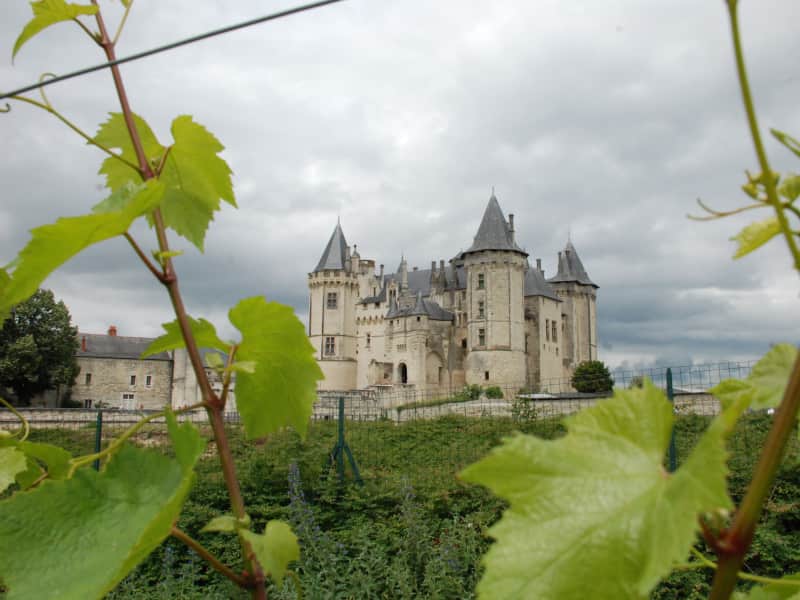 Run & Bike des Vignes