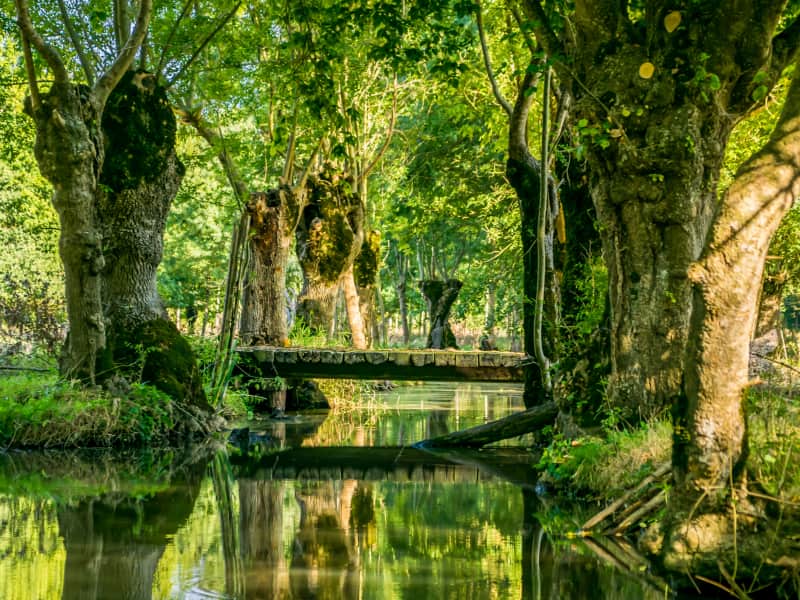 Course Nature de la Vie