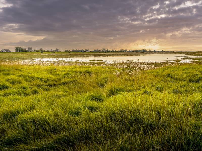 Trail Urbain de Mortagne