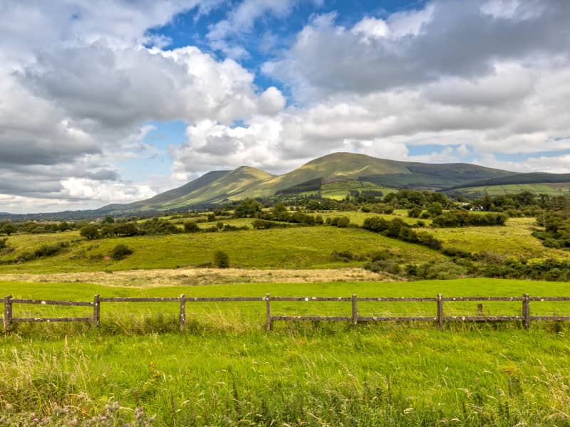 Glen of Aherlow Trail Run